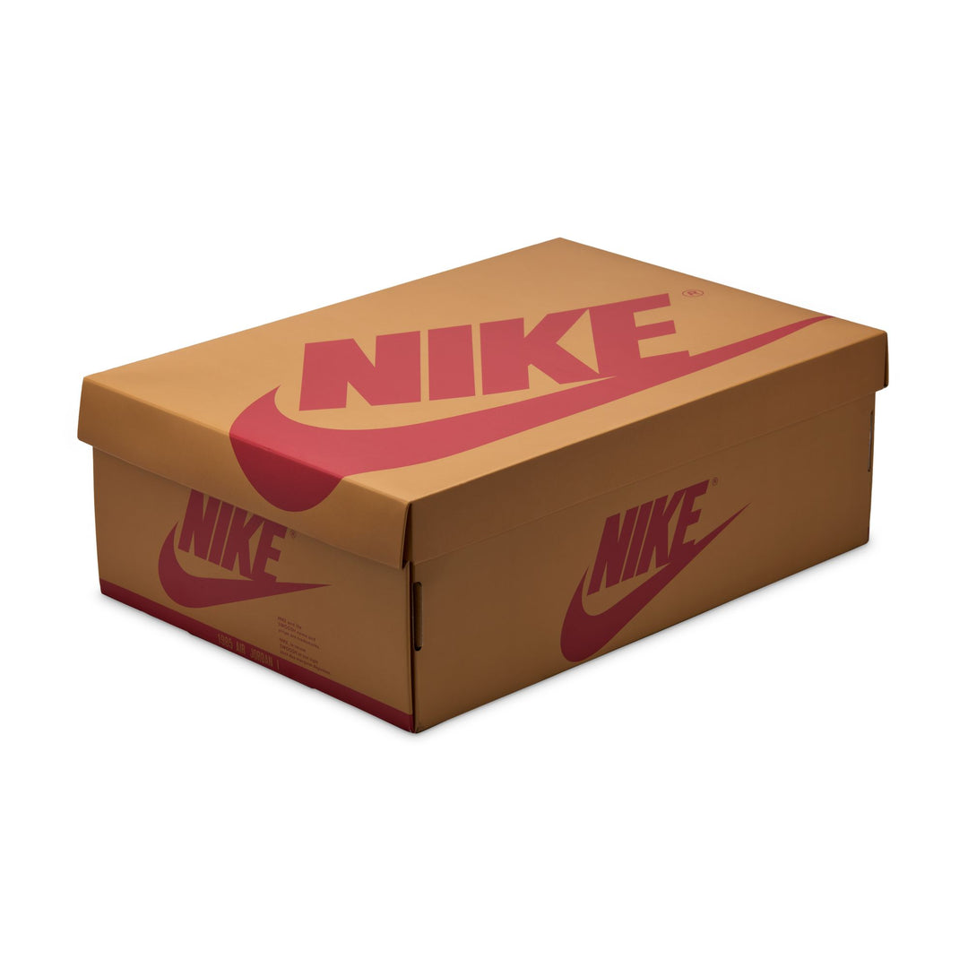 AIR JORDAN 1 RETRO LOW OG CZ0790-107 "ROOKIE OF THE YEAR"
