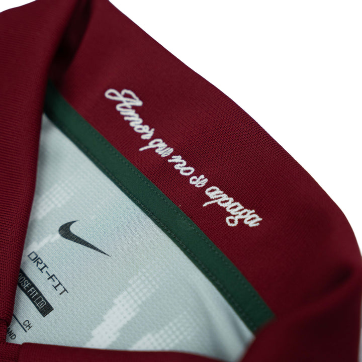 NIKE GOALIE FOOTBALL TOP MEXICO IR6955-323 - FIR