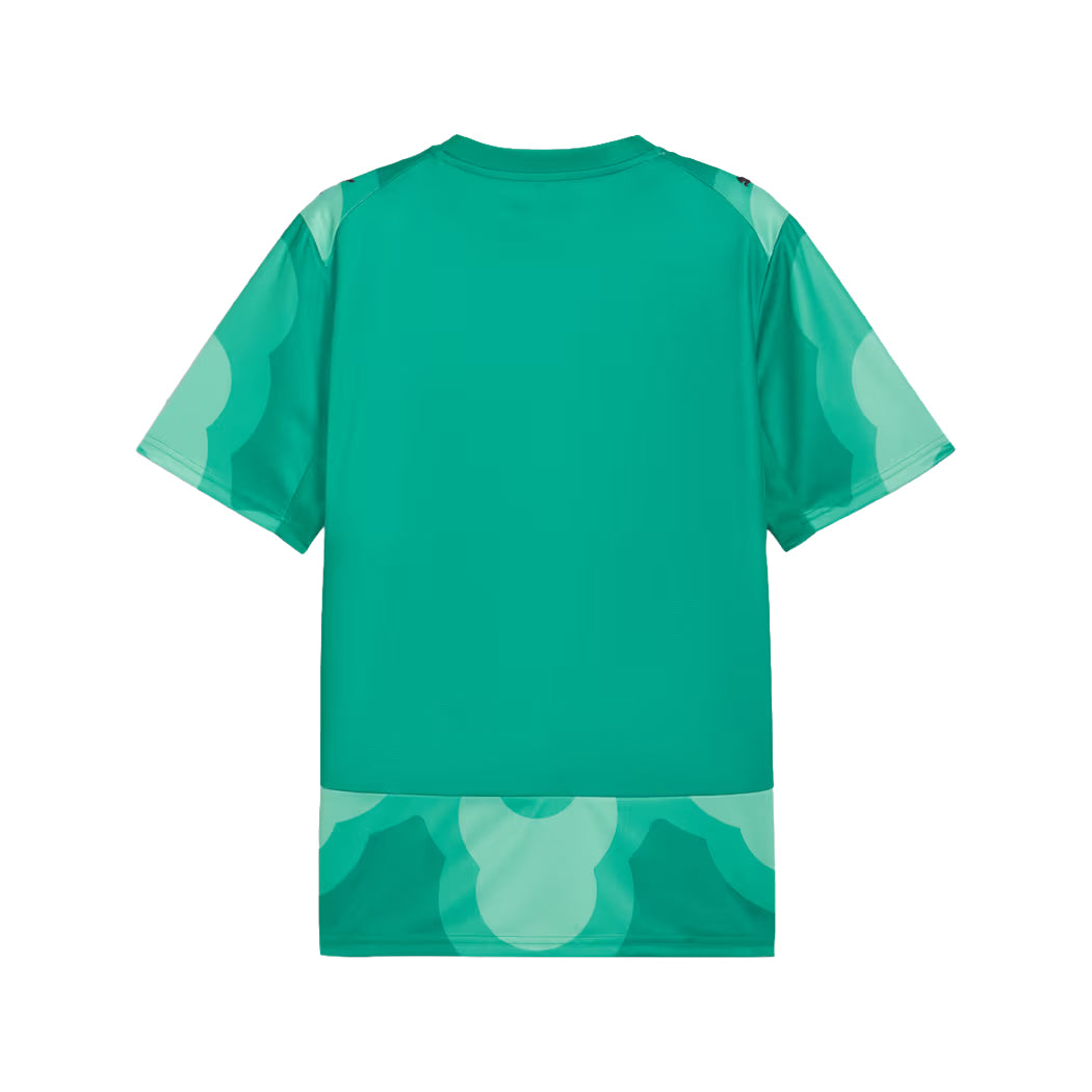 PUMA x GFA x SALEHE BEMBURY REPLICA MATCH GOALKEEPER JERSEY 78711189-300 "IVORY COAST" - GREEN