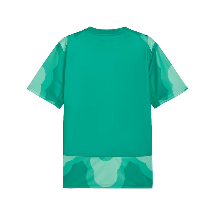PUMA x GFA x SALEHE BEMBURY REPLICA MATCH GOALKEEPER JERSEY 78711189-300 "IVORY COAST" - GREEN